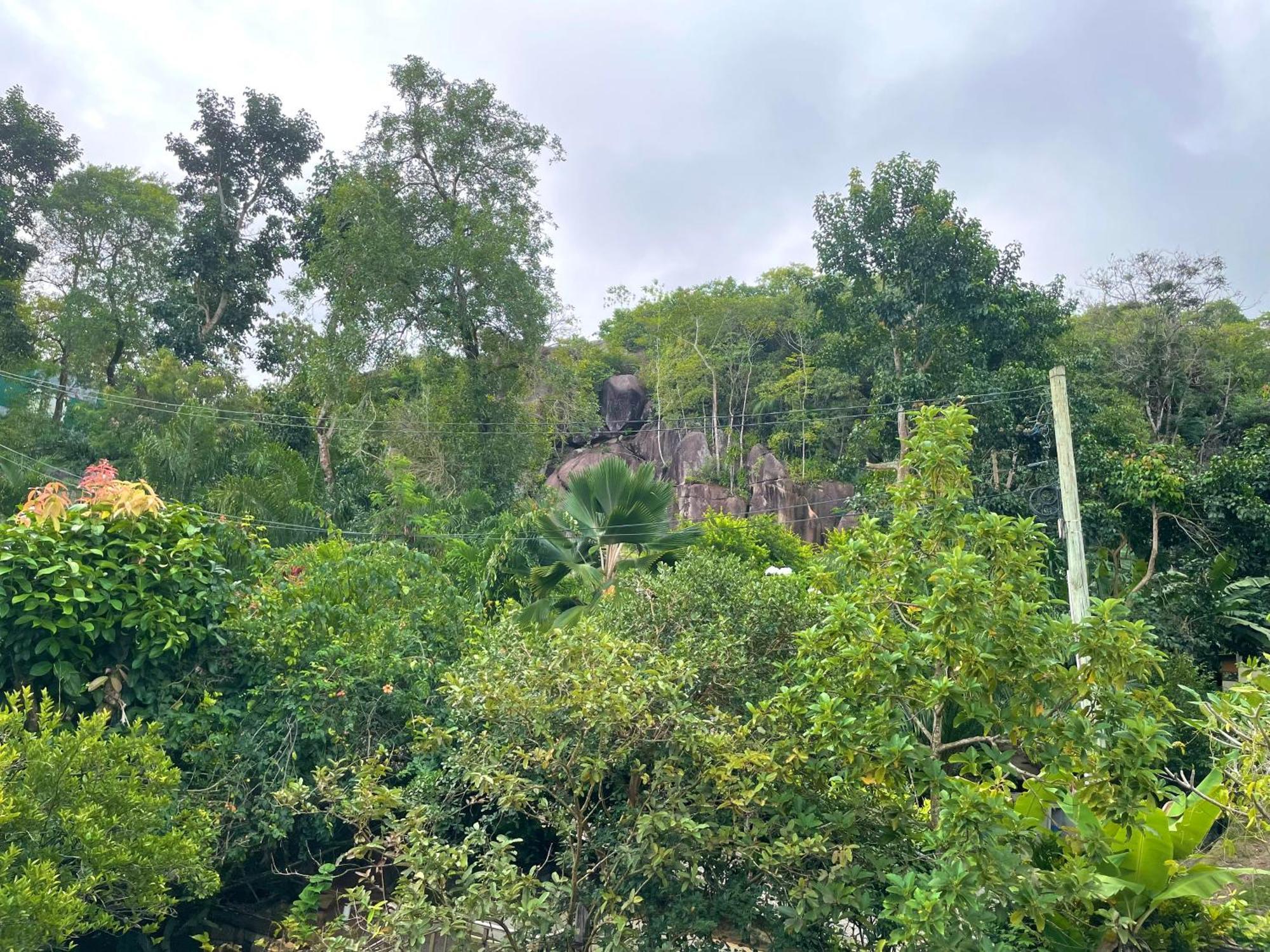 Belle Montagne Holiday Apartments Grand Anse  エクステリア 写真