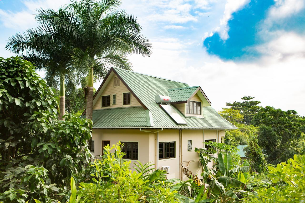 Belle Montagne Holiday Apartments Grand Anse  エクステリア 写真