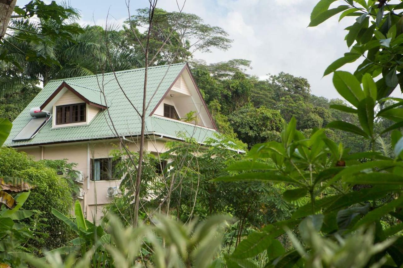 Belle Montagne Holiday Apartments Grand Anse  エクステリア 写真